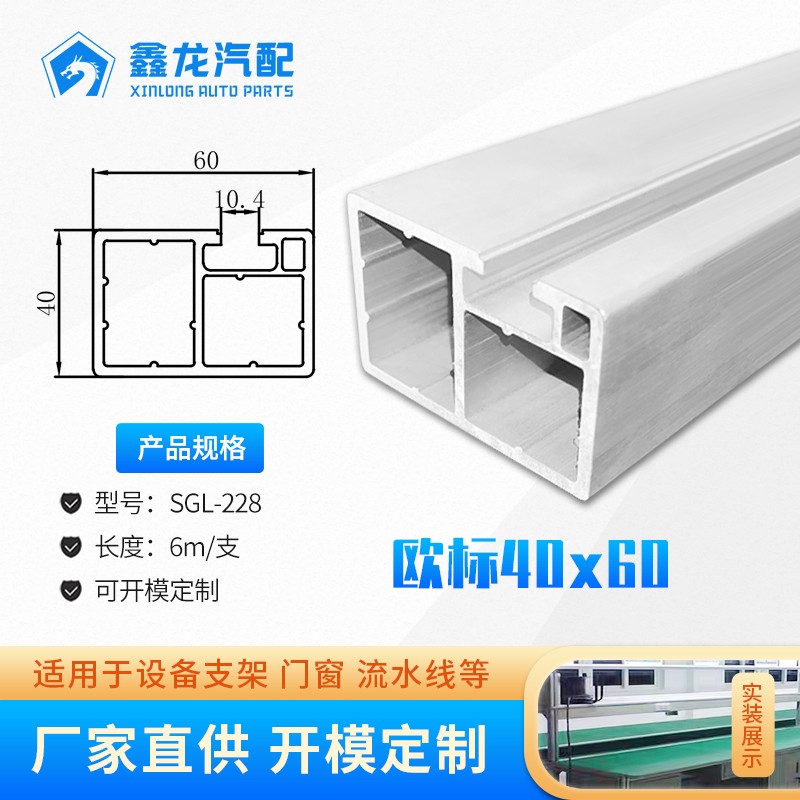 SGL-228 博利40x60流水线